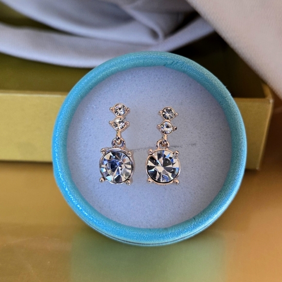 Elegant Silver Crystal Drop Earrings - Picture 1 of 17